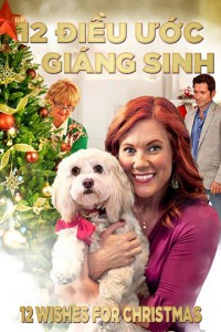 12 Điều Ước Giáng Sinh | 12 Wishes For Christmas (2011) 12 Điều Ước Giáng Sinh | 12 Wishes For Christmas (2011)