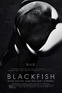 Cá đen | Blackfish (2013) Cá đen | Blackfish (2013)