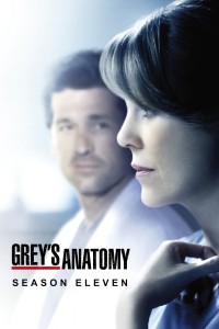 Ca Phẫu Thuật Của Grey (Phần 11) | Grey's Anatomy (Season 11) (2014) Ca Phẫu Thuật Của Grey (Phần 11) | Grey's Anatomy (Season 11) (2014)