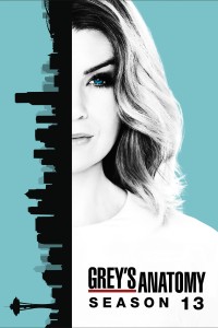 Ca Phẫu Thuật Của Grey (Phần 13) | Grey's Anatomy (Season 13) (2016) Ca Phẫu Thuật Của Grey (Phần 13) | Grey's Anatomy (Season 13) (2016)