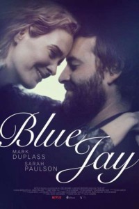 Chim Giẻ Xanh | Blue Jay (2016) Chim Giẻ Xanh | Blue Jay (2016)