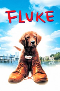Chú Chó Fluke | Fluke (1995) Chú Chó Fluke | Fluke (1995)
