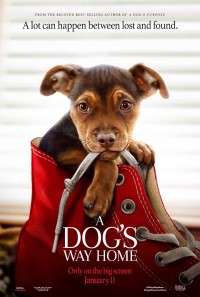 Đường Về Nhà Của Cún Con | A Dog's Way Home (2019) Đường Về Nhà Của Cún Con | A Dog's Way Home (2019)