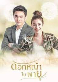 Hoa Cỏ Lau Trong Bão | Grass Flower In The Storm (2018) Hoa Cỏ Lau Trong Bão | Grass Flower In The Storm (2018)
