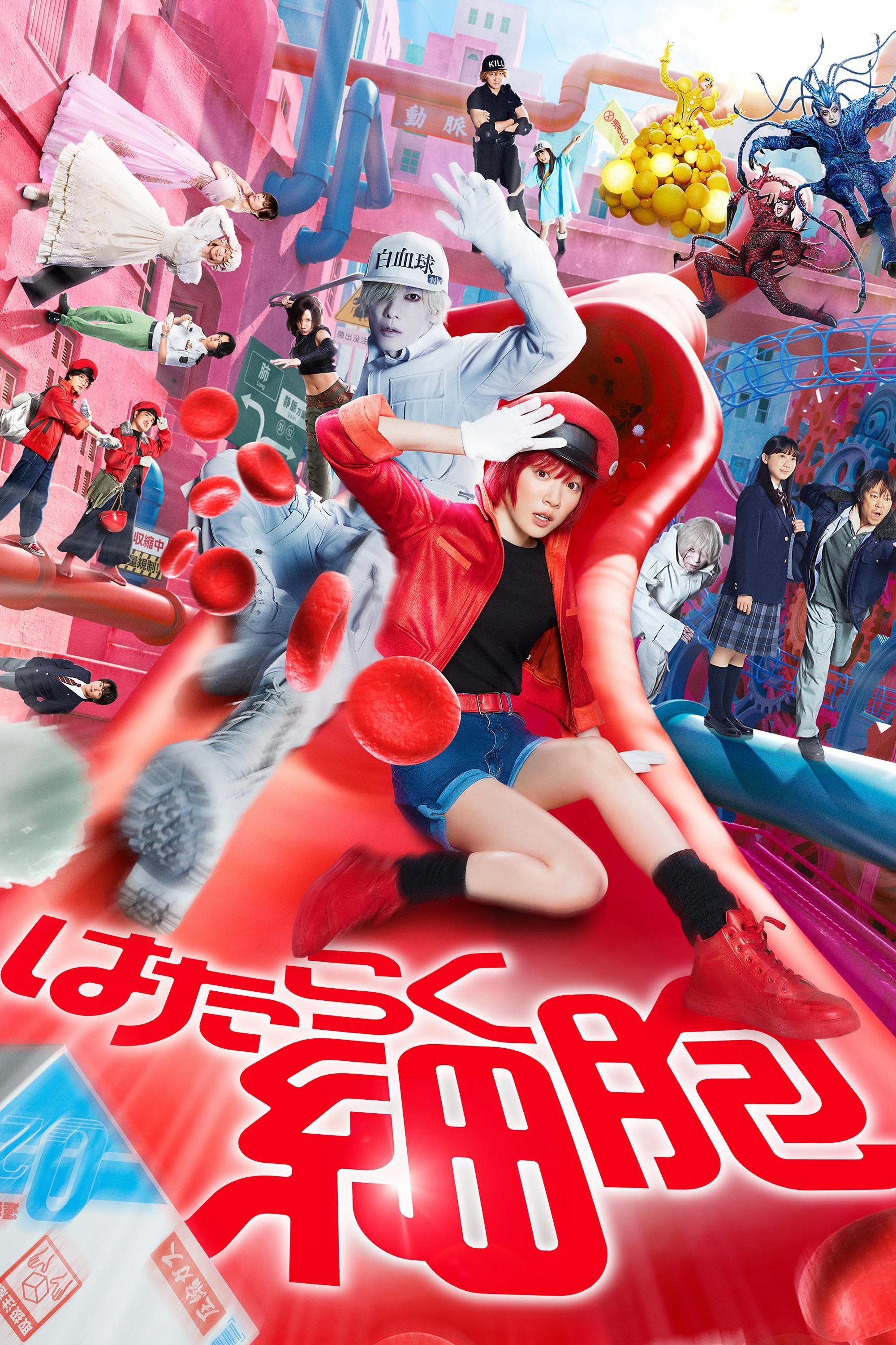 Khi Tế Bào Làm Việc | Cells at Work! (2024) Khi Tế Bào Làm Việc | Cells at Work! (2024)