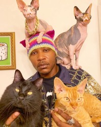 Những người yêu mèo | Cat People (2021) Những người yêu mèo | Cat People (2021)