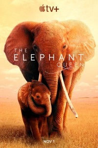 Nữ Hoàng Voi | The Elephant Queen (2019) Nữ Hoàng Voi | The Elephant Queen (2019)