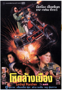 Nữ Sát Thủ Xinh Đẹp | Lethal Panther (1990) Nữ Sát Thủ Xinh Đẹp | Lethal Panther (1990)