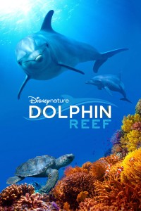 Rạn San Hô Cá Heo | Dolphin Reef (2018) Rạn San Hô Cá Heo | Dolphin Reef (2018)