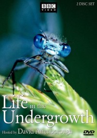 Thế Giới Côn Trùng | Life in The Undergrowth (2005) Thế Giới Côn Trùng | Life in The Undergrowth (2005)