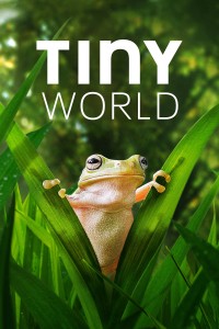 Thế Giới Siêu Nhỏ (Phần 2) | Tiny World (Season 2) (2021) Thế Giới Siêu Nhỏ (Phần 2) | Tiny World (Season 2) (2021)