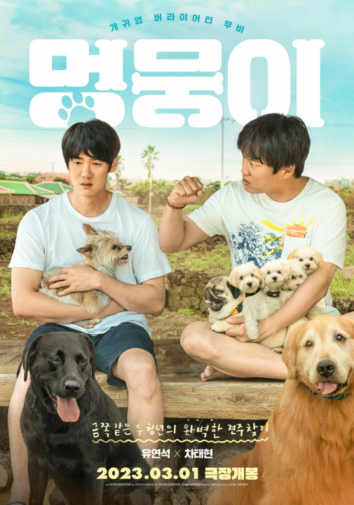 Tìm Nhà Cho Boss | My Heart Puppy (2023) Tìm Nhà Cho Boss | My Heart Puppy (2023)
