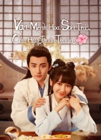 Vận Mệnh Hoa Sơn Trà Của Hứa Thuần Thuần | A Camellia Romance (2021) Vận Mệnh Hoa Sơn Trà Của Hứa Thuần Thuần | A Camellia Romance (2021)