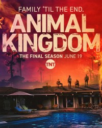 Vương quốc động vật (Phần 6) | Animal Kingdom (Season 6) (2022) Vương quốc động vật (Phần 6) | Animal Kingdom (Season 6) (2022)